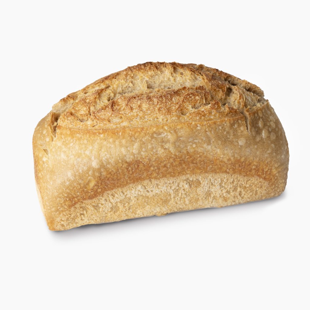 Espelta