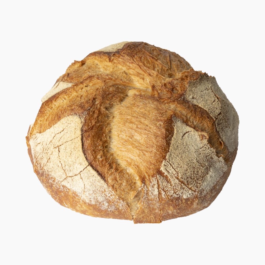 Pagès del Pastador
